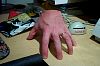 handspider.jpg